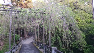 DSC_8846.jpg