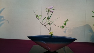 DSC_9370.jpg