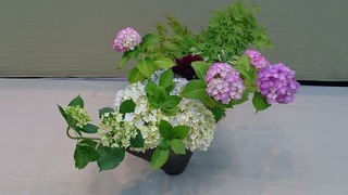 DSC_9411.jpg