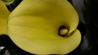 DSC_9564.jpg