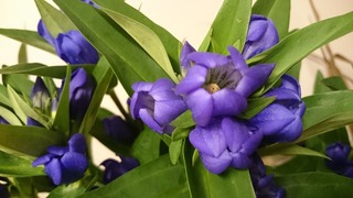 DSC_9569.jpg