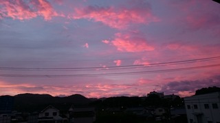 DSC_9586.jpg