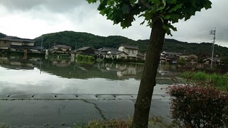 DSC_9593.jpg