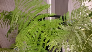 DSC_9622.jpg