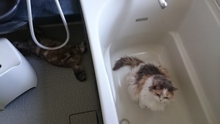 DSC_9718.jpg