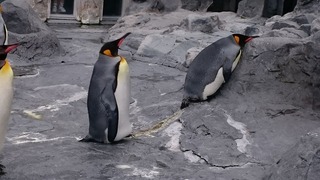 DSC_9917.jpg