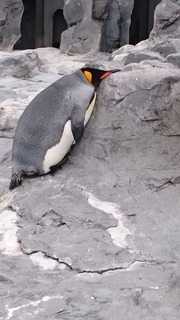 DSC_9918.jpg