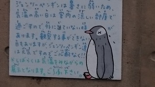 DSC_9921.jpg