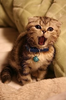 E5B08FE6A28520013-thumbnail2.jpg