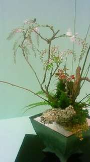 NEC_0156.JPG