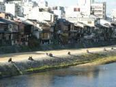 kamogawa.jpg