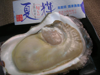 tottori_iwakaki_01.jpg