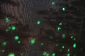 yjimage0OINWO91.jpg