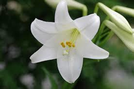 yjimage706WFV01.jpg