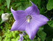 yjimage7ZIP79TS.jpg