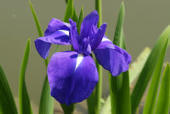 yjimageYR3DT1NP.jpg